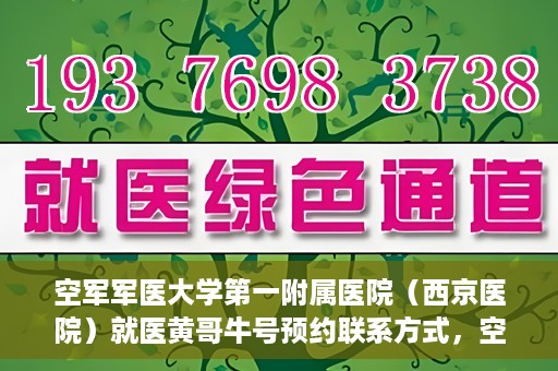 空军军医大学第一附属医院（西京医院）就医黄哥牛号预约联系方式，空军军医大学第一附属医院（西京医院）黄哥牛号预约挂号联系方式解析