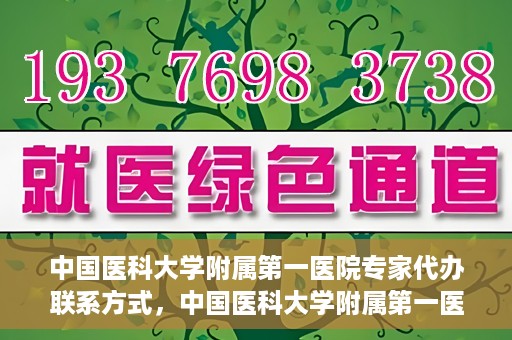 中国医科大学附属第一医院专家代办联系方式，中国医科大学附属第一医院专家联系服务热线及联系方式汇总