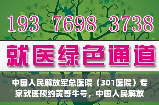 中国人民解放军总医院（301医院）专家就医预约黄哥牛号，中国人民解放军总医院（301医院）黄哥牛号专家预约就医攻略