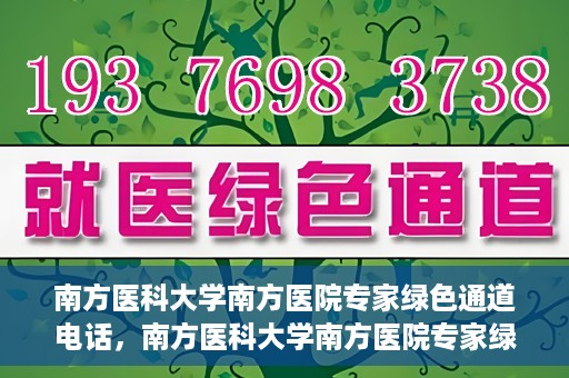 南方医科大学南方医院专家绿色通道电话，南方医科大学南方医院专家绿色通道服务热线揭秘