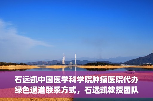 石远凯中国医学科学院肿瘤医院代办绿色通道联系方式，石远凯教授团队绿色通道联系方式，中国医学科学院肿瘤医院权威解读与代办服务指南