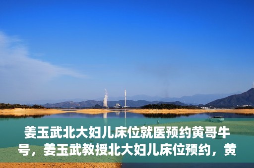 姜玉武北大妇儿床位就医预约黄哥牛号，姜玉武教授北大妇儿床位预约，黄哥牛号助您轻松就医