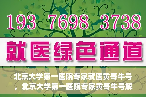 北京大学第一医院专家就医黄哥牛号，北京大学第一医院专家黄哥牛号解析就医秘籍