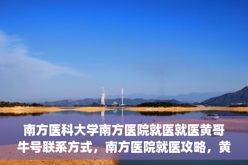 南方医科大学南方医院就医就医黄哥牛号联系方式，南方医院就医攻略，黄哥牛号联系方式揭秘