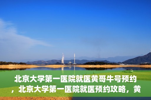 北京大学第一医院就医黄哥牛号预约，北京大学第一医院就医预约攻略，黄哥牛号预约详解