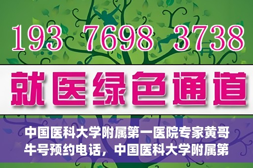 中国医科大学附属第一医院专家黄哥牛号预约电话，中国医科大学附属第一医院黄哥牛专家预约电话及挂号攻略