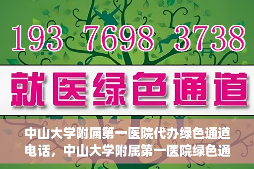中山大学附属第一医院代办绿色通道电话，中山大学附属第一医院绿色通道代办服务热线揭秘