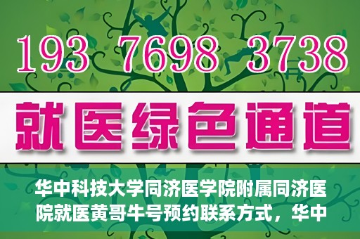 华中科技大学同济医学院附属同济医院就医黄哥牛号预约联系方式，华中科技大学同济医院黄哥牛号预约联系方式及就医指南