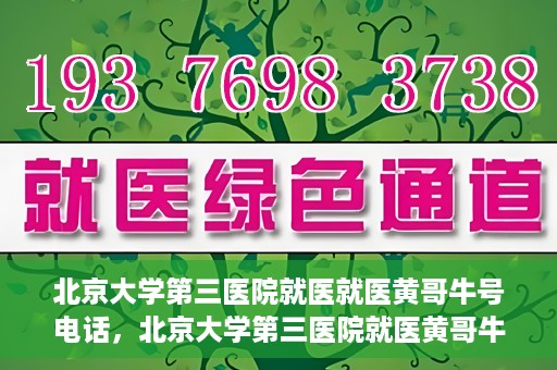 北京大学第三医院就医就医黄哥牛号电话，北京大学第三医院就医黄哥牛号电话详解