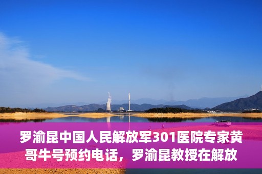 罗渝昆中国人民解放军301医院专家黄哥牛号预约电话，罗渝昆教授在解放军301医院专家团队预约挂号信息及黄哥牛号电话咨询服务