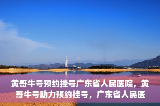 黄哥牛号预约挂号广东省人民医院，黄哥牛号助力预约挂号，广东省人民医院便捷就医新体验