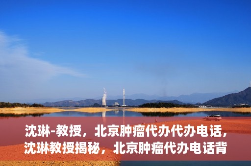 沈琳-教授，北京肿瘤代办代办电话，沈琳教授揭秘，北京肿瘤代办电话背后的真相