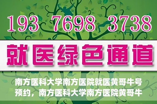 南方医科大学南方医院就医黄哥牛号预约，南方医科大学南方医院黄哥牛号预约就医攻略
