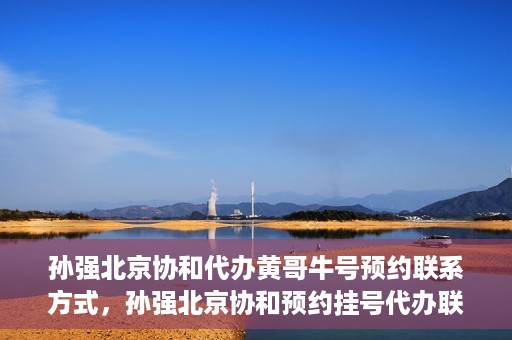 孙强北京协和代办黄哥牛号预约联系方式，孙强北京协和预约挂号代办联系方式揭秘，黄哥牛号预约服务解析