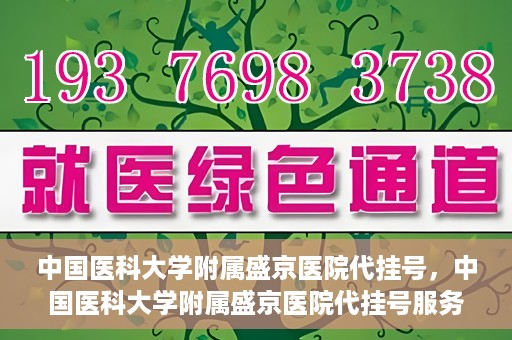 中国医科大学附属盛京医院代挂号，中国医科大学附属盛京医院代挂号服务详解