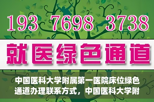 中国医科大学附属第一医院床位绿色通道办理联系方式，中国医科大学附属第一医院床位绿色通道办理指南及联系方式揭秘