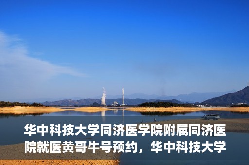 华中科技大学同济医学院附属同济医院就医黄哥牛号预约，华中科技大学同济医院黄哥牛号预约攻略，就医新体验