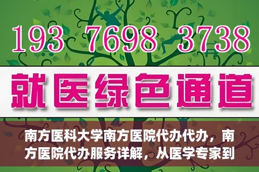 南方医科大学南方医院代办代办，南方医院代办服务详解，从医学专家到您的贴心助手