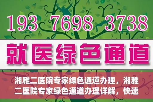 湘雅二医院专家绿色通道办理，湘雅二医院专家绿色通道办理详解，快速就医新途径揭秘
