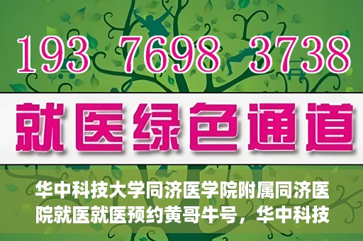 华中科技大学同济医学院附属同济医院就医就医预约黄哥牛号，华中科技大学同济医院就医预约攻略，黄哥牛号引领便捷就医新风尚