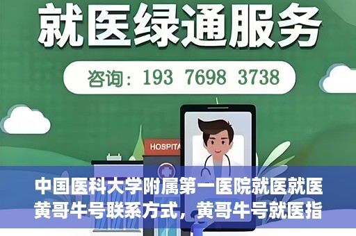 中国医科大学附属第一医院就医就医黄哥牛号联系方式，黄哥牛号就医指南，中国医科大学附属第一医院联系方式揭秘