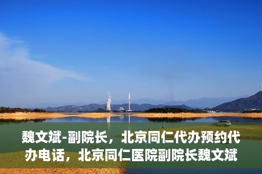 魏文斌-副院长，北京同仁代办预约代办电话，北京同仁医院副院长魏文斌与预约代办电话，便捷就医新通道