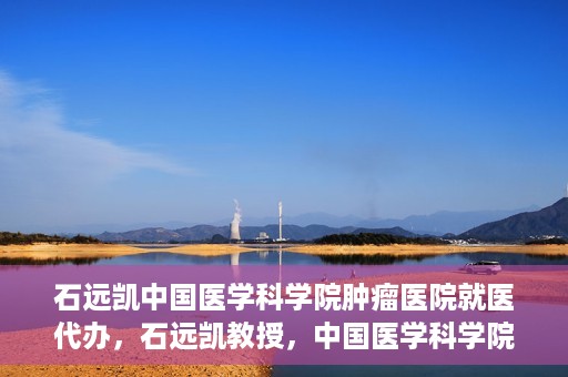 石远凯中国医学科学院肿瘤医院就医代办，石远凯教授，中国医学科学院肿瘤医院就医攻略与代办服务解析