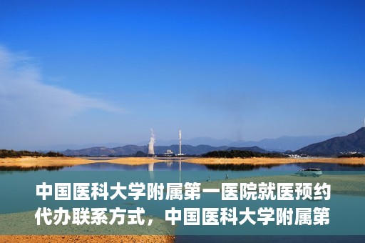中国医科大学附属第一医院就医预约代办联系方式，中国医科大学附属第一医院就医预约联系方式及代办服务指南