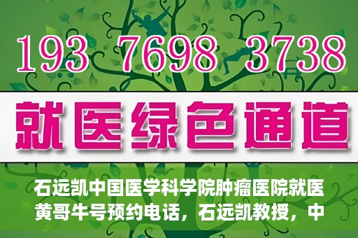 石远凯中国医学科学院肿瘤医院就医黄哥牛号预约电话，石远凯教授，中国医学科学院肿瘤医院就医攻略及黄哥牛号预约热线揭秘