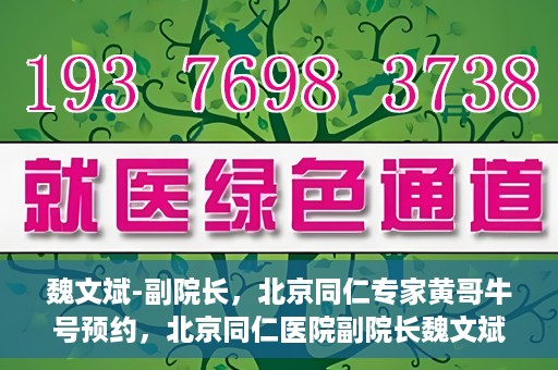魏文斌-副院长，北京同仁专家黄哥牛号预约，北京同仁医院副院长魏文斌，黄哥牛号预约专家解析健康之道