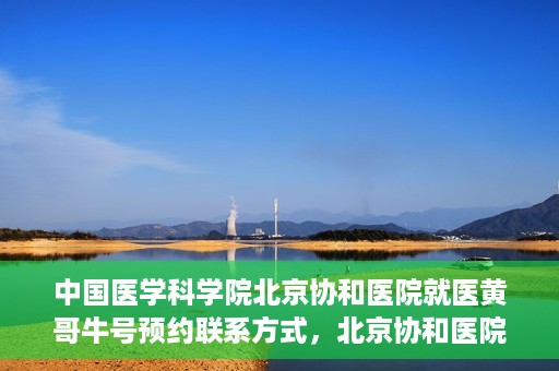 中国医学科学院北京协和医院就医黄哥牛号预约联系方式，北京协和医院黄哥牛号预约挂号联系方式揭秘，权威医学专家预约攻略