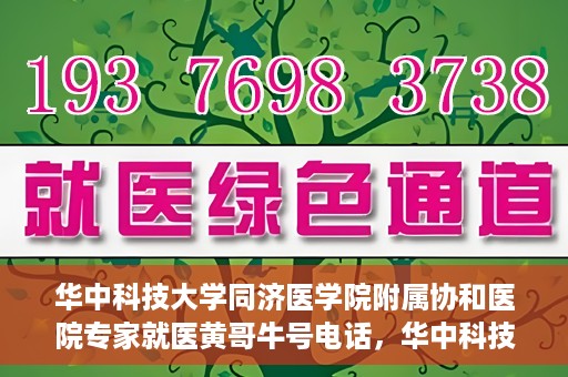 华中科技大学同济医学院附属协和医院专家就医黄哥牛号电话，华中科技大学同济医学院附属协和医院专家黄哥牛号电话就医指南