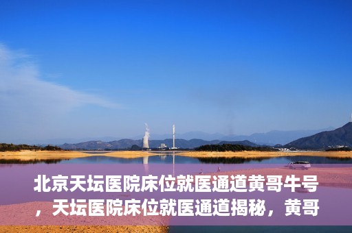 北京天坛医院床位就医通道黄哥牛号，天坛医院床位就医通道揭秘，黄哥牛号助您轻松就医