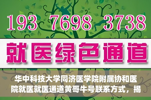 华中科技大学同济医学院附属协和医院就医就医通道黄哥牛号联系方式，揭秘华中科技大学同济医学院附属协和医院就医通道，黄哥牛号联系方式全解析