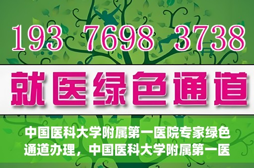 中国医科大学附属第一医院专家绿色通道办理，中国医科大学附属第一医院专家绿色通道办理详解，一站式服务助力高效就医体验