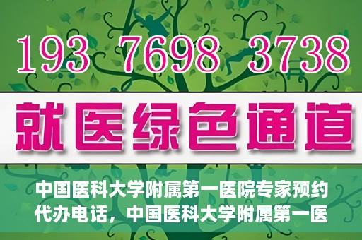 中国医科大学附属第一医院专家预约代办电话，中国医科大学附属第一医院专家预约挂号代办服务热线详解
