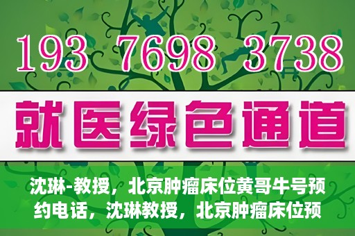沈琳-教授，北京肿瘤床位黄哥牛号预约电话，沈琳教授，北京肿瘤床位预约热线及黄哥牛号攻略揭秘