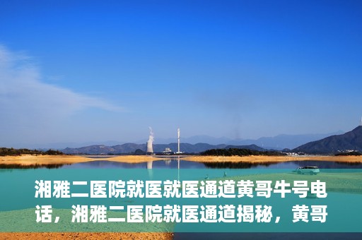 湘雅二医院就医就医通道黄哥牛号电话，湘雅二医院就医通道揭秘，黄哥牛号电话一览无余