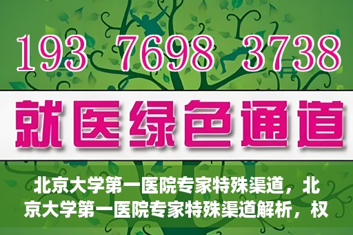 北京大学第一医院专家特殊渠道，北京大学第一医院专家特殊渠道解析，权威医疗资源的独特路径探索