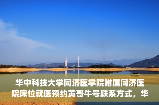华中科技大学同济医学院附属同济医院床位就医预约黄哥牛号联系方式，华中科技大学同济医院床位预约联系方式及黄哥牛号揭秘