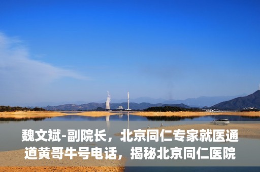 魏文斌-副院长，北京同仁专家就医通道黄哥牛号电话，揭秘北京同仁医院专家就医通道，魏文斌副院长与黄哥牛号电话背后的故事