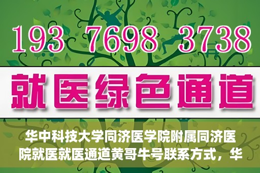 华中科技大学同济医学院附属同济医院就医就医通道黄哥牛号联系方式，华中科技大学同济医院就医通道详解，黄哥牛号联系方式揭秘