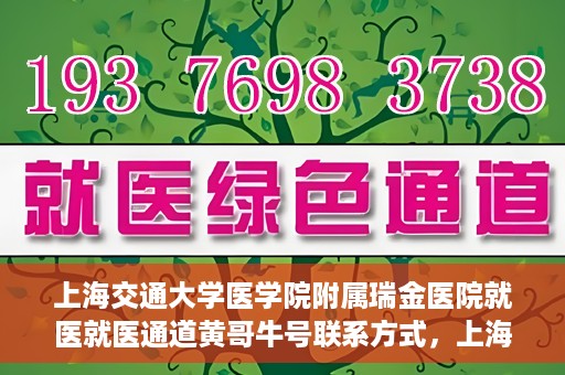 上海交通大学医学院附属瑞金医院就医就医通道黄哥牛号联系方式，上海交通大学医学院附属瑞金医院就医通道详解，黄哥牛号联系方式揭秘