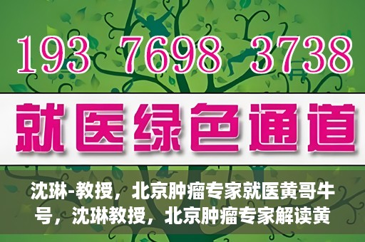 沈琳-教授，北京肿瘤专家就医黄哥牛号，沈琳教授，北京肿瘤专家解读黄哥牛号就医秘籍