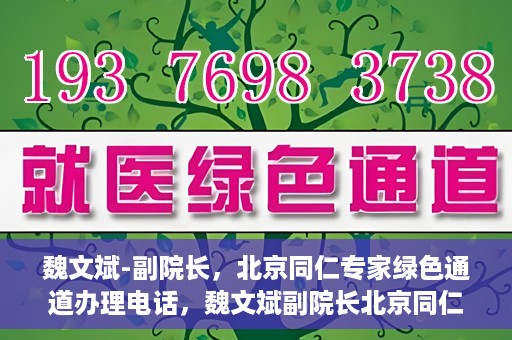 魏文斌-副院长，北京同仁专家绿色通道办理电话，魏文斌副院长北京同仁专家绿色通道联系电话及办理须知