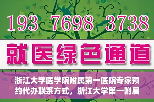 浙江大学医学院附属第一医院专家预约代办联系方式，浙江大学第一附属医院专家预约代办服务指南，快速便捷联系方式揭秘