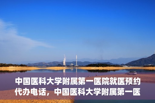 中国医科大学附属第一医院就医预约代办电话，中国医科大学附属第一医院就医预约代办服务热线详解