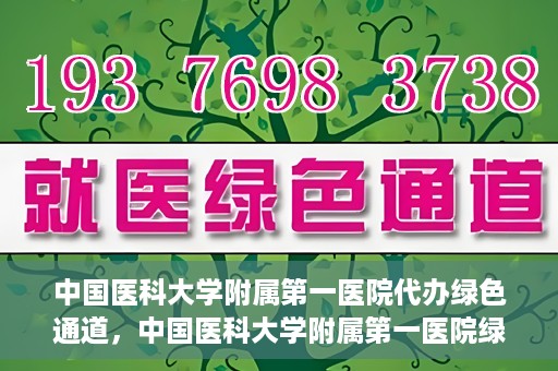中国医科大学附属第一医院代办绿色通道，中国医科大学附属第一医院绿色通道代办服务详解