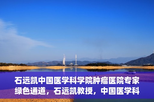 石远凯中国医学科学院肿瘤医院专家绿色通道，石远凯教授，中国医学科学院肿瘤医院专家开启绿色通道助力健康中国行