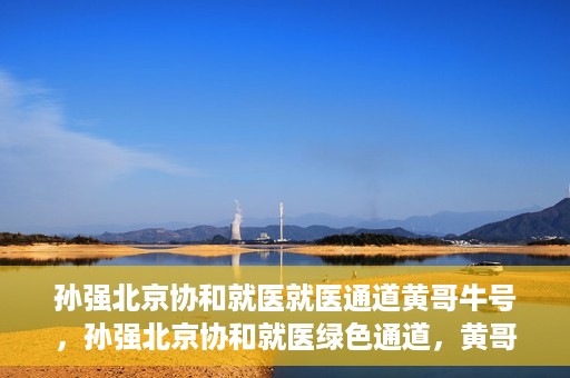 孙强北京协和就医就医通道黄哥牛号，孙强北京协和就医绿色通道，黄哥牛号助您轻松挂号就医